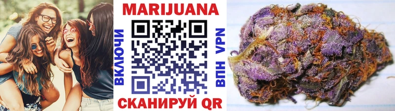 Где купить наркотики Светлогорск Псилоцибиновые грибы  Канабис  Меф  ГАШИШ  МЕТАДОН  A PVP 