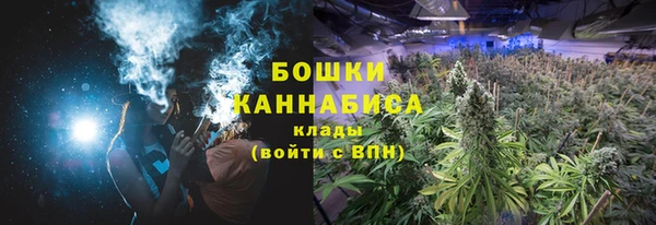 a pvp Богданович